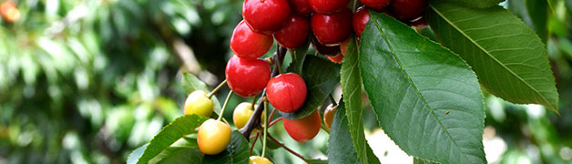 imtoken下载_imtoken钱包_imtoken钱包usdt兑换trx